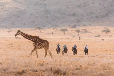 Lewa Wilderness, Lewa Wildlife Conservancy, Kenya