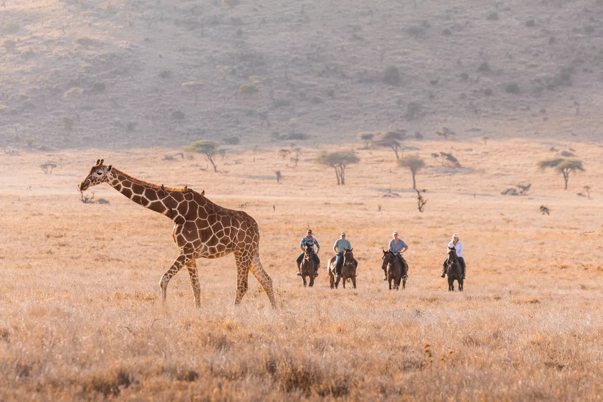Lewa Wilderness — photo 100