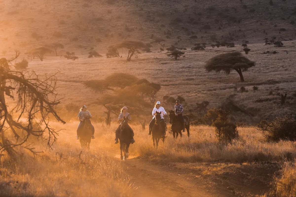 Lewa Wilderness — photo 101