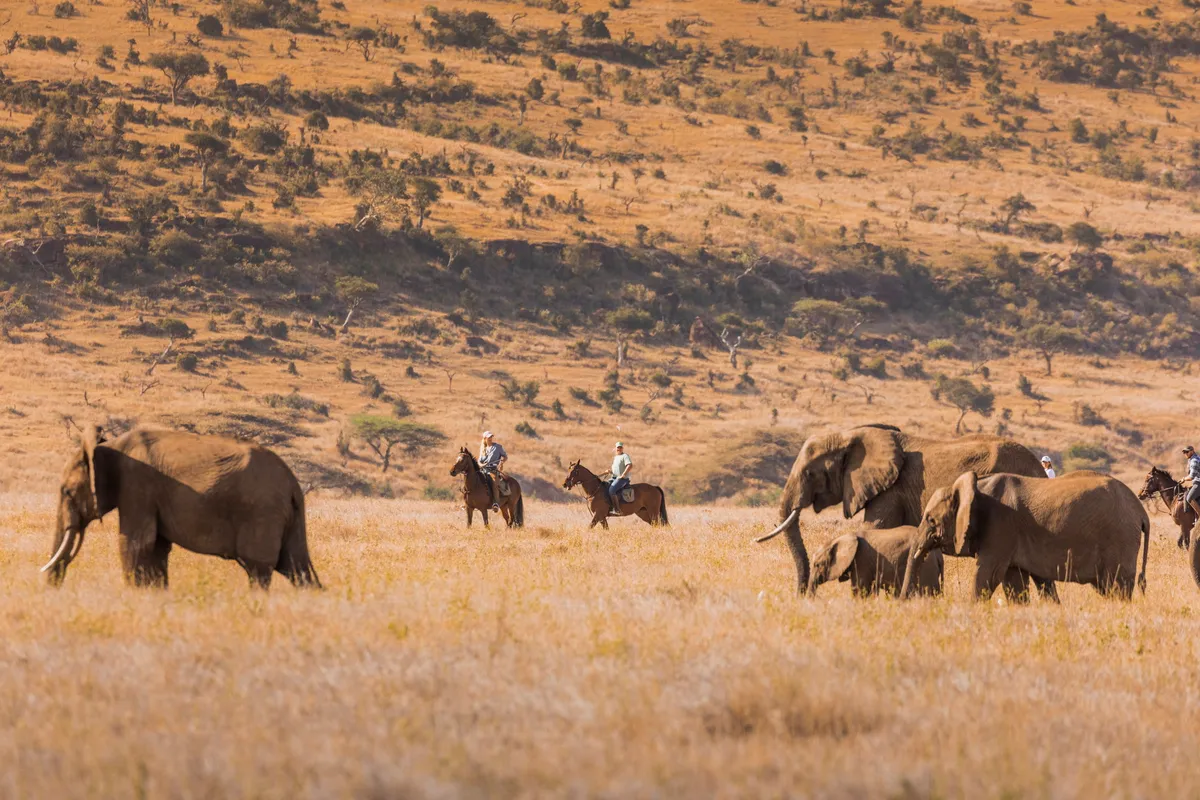 Lewa Wilderness — photo 103