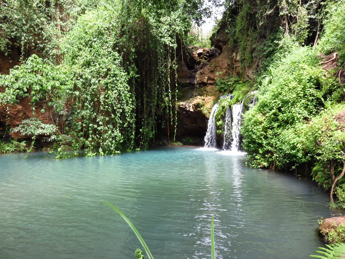 Lewa Wilderness — photo 11