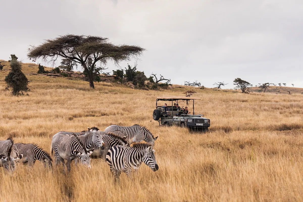 Lewa Wilderness — photo 113