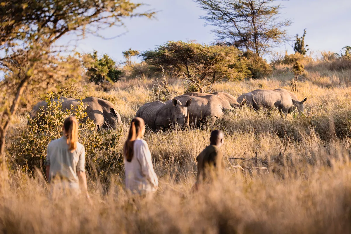 Lewa Wilderness — photo 14