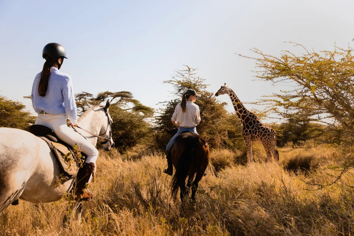 Lewa Wilderness — photo 16