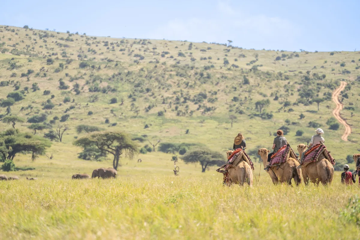 Lewa Wilderness — photo 66