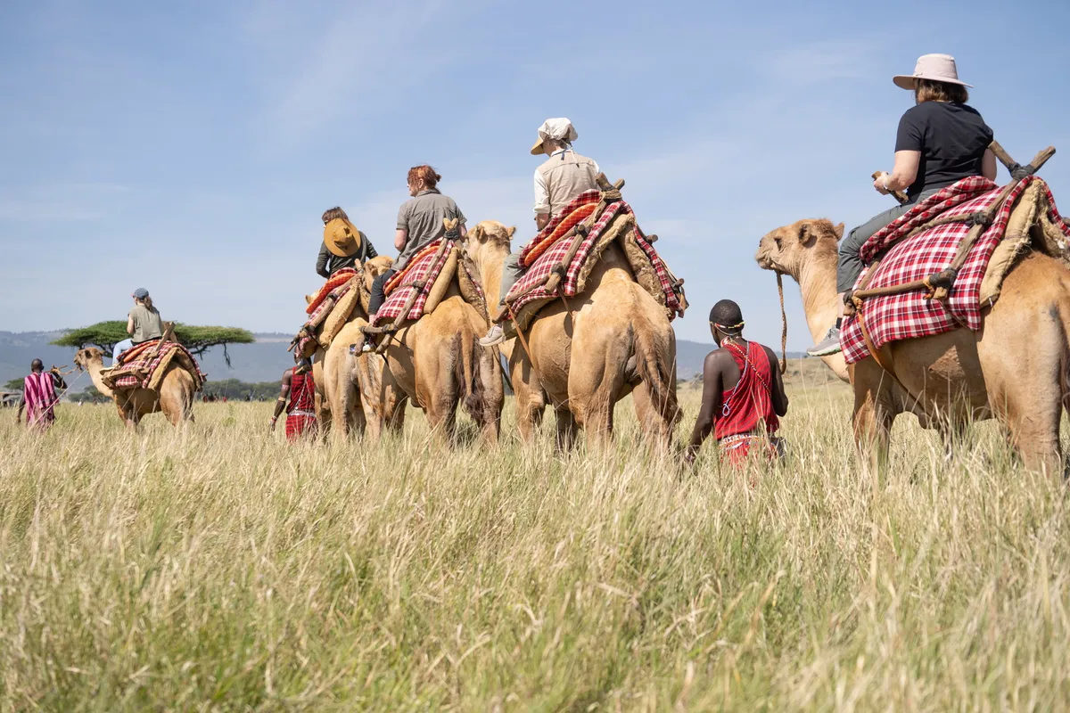 Lewa Wilderness — photo 68