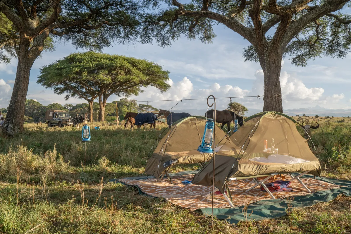 Lewa Wilderness — photo 71