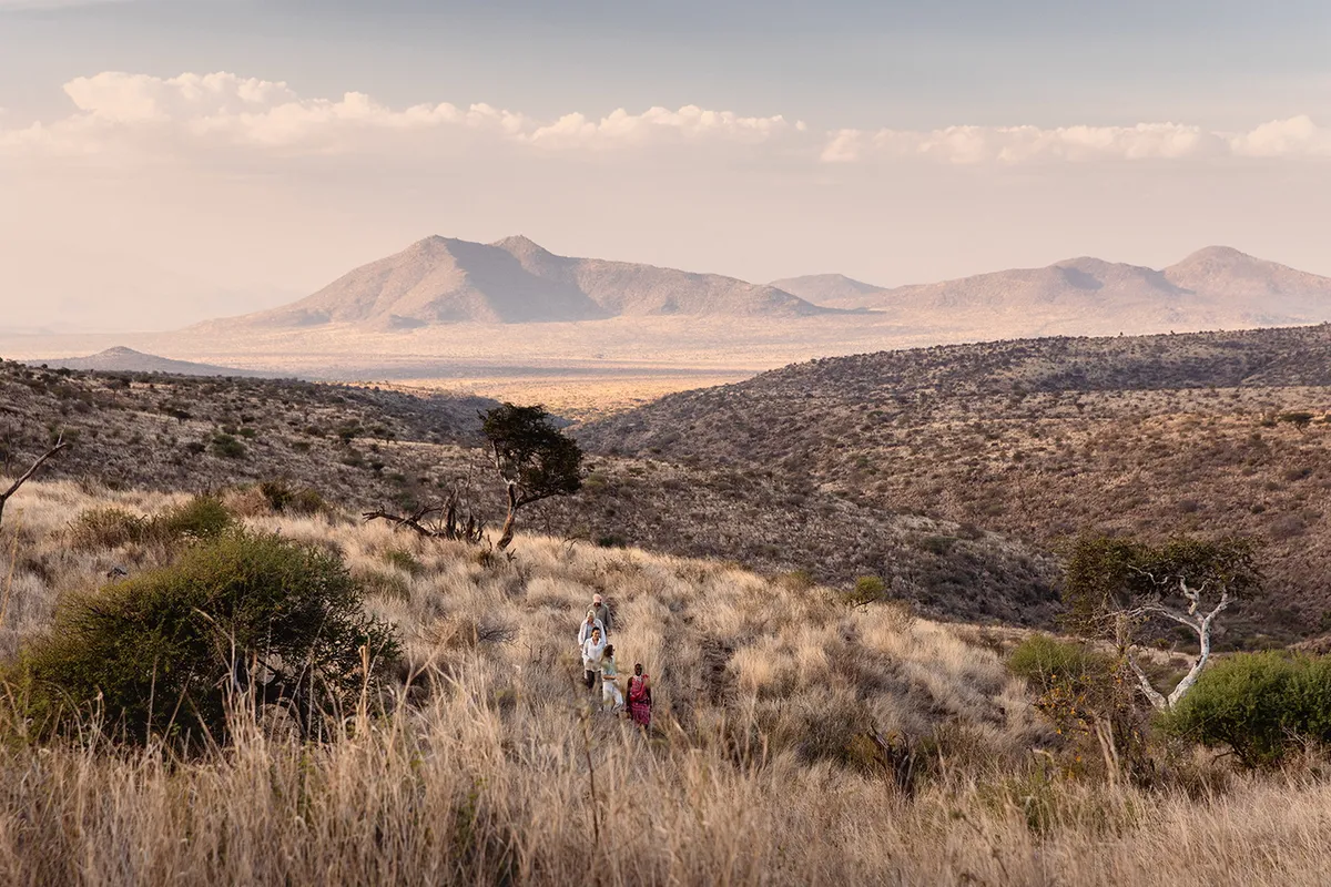 Lewa Wilderness — photo 79