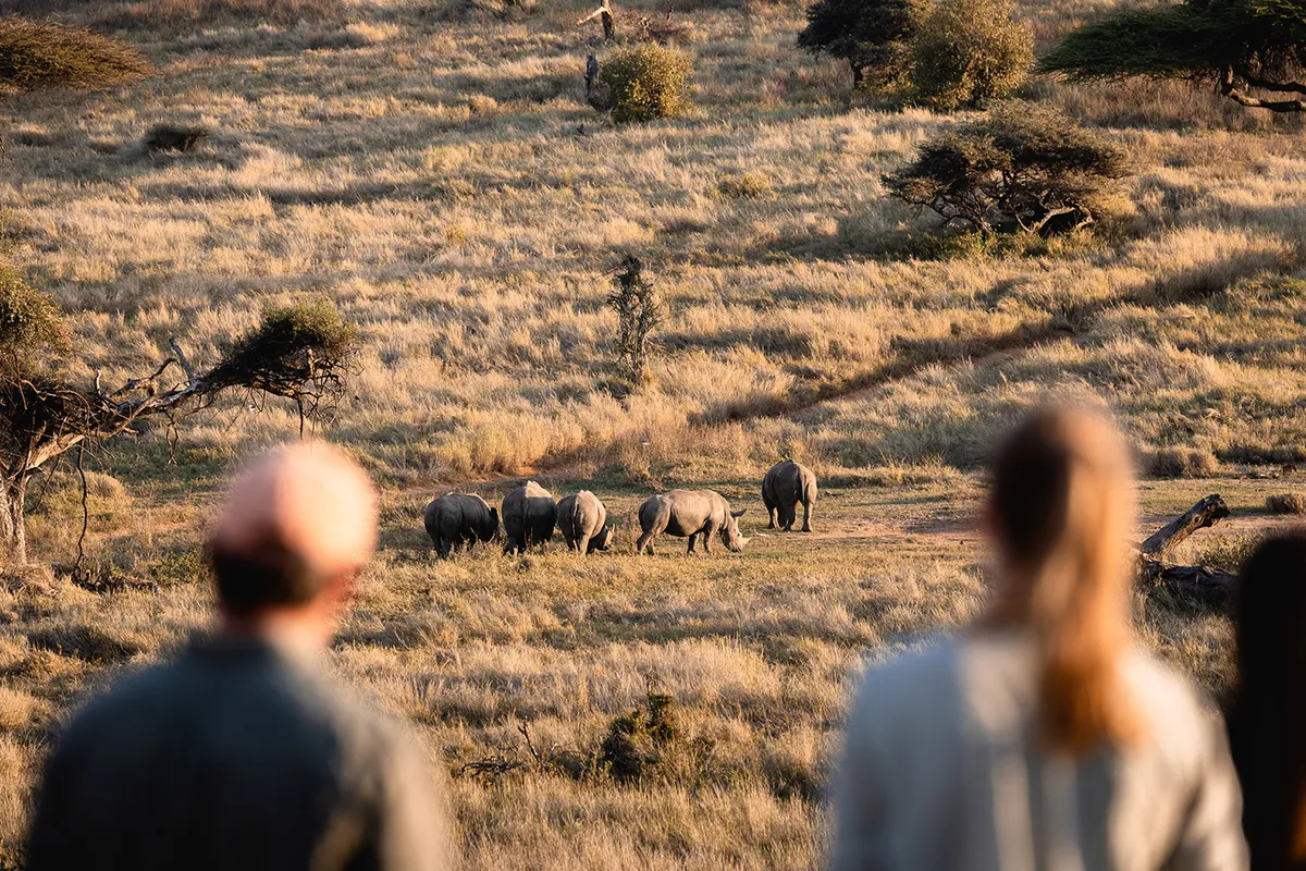 Lewa Wilderness — photo 80