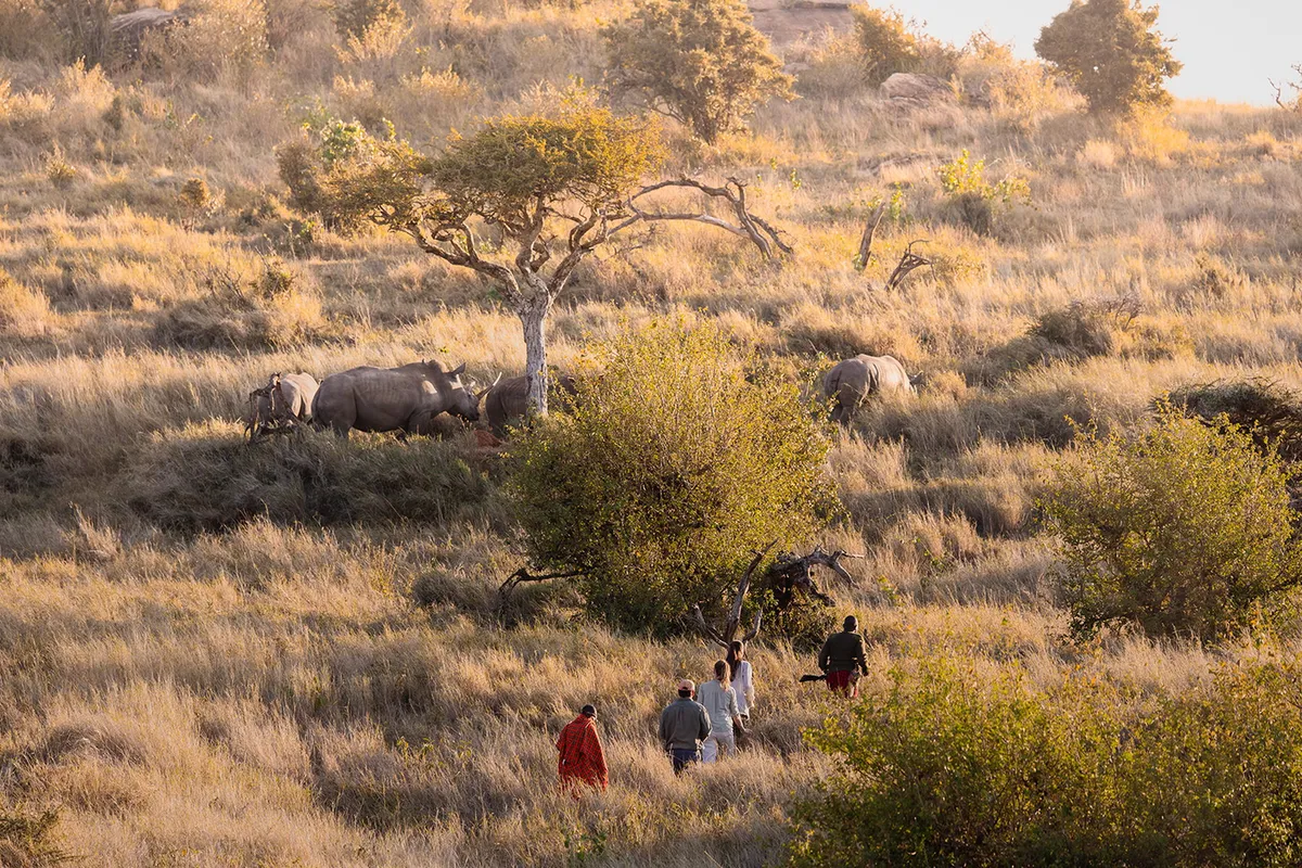 Lewa Wilderness — photo 81