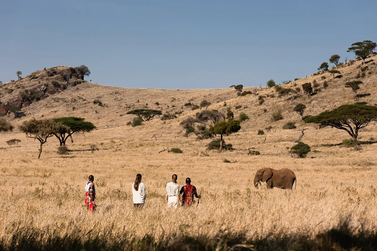 Lewa Wilderness — photo 83