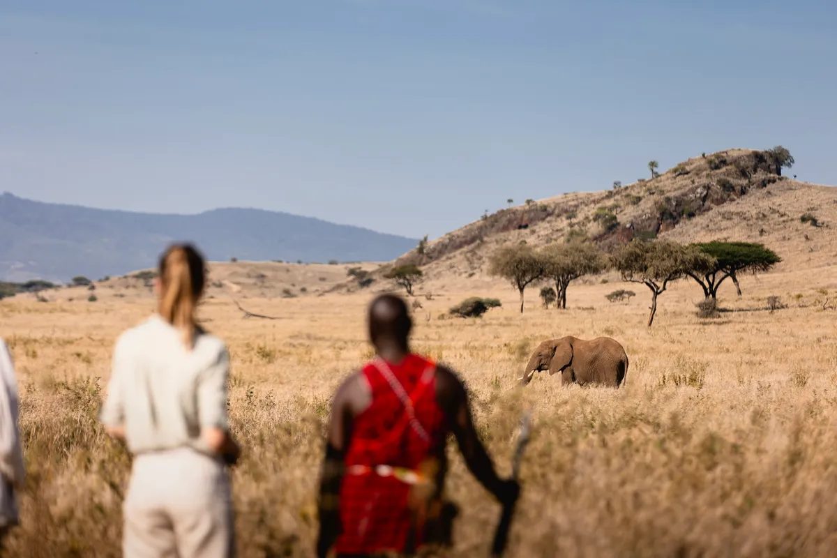 Lewa Wilderness — photo 84