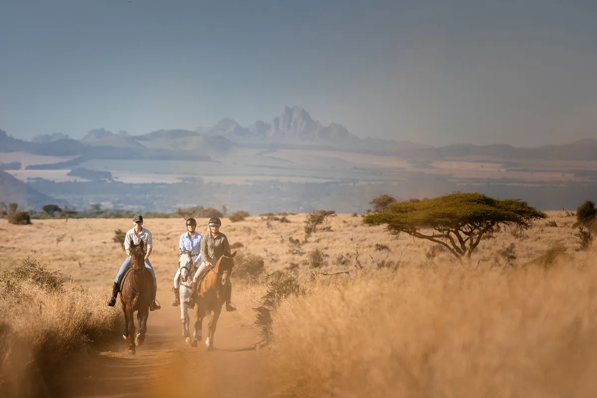 Lewa Wilderness — photo 86