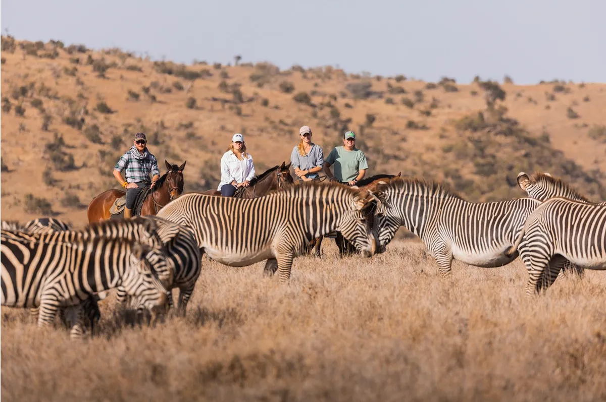 Lewa Wilderness — photo 87