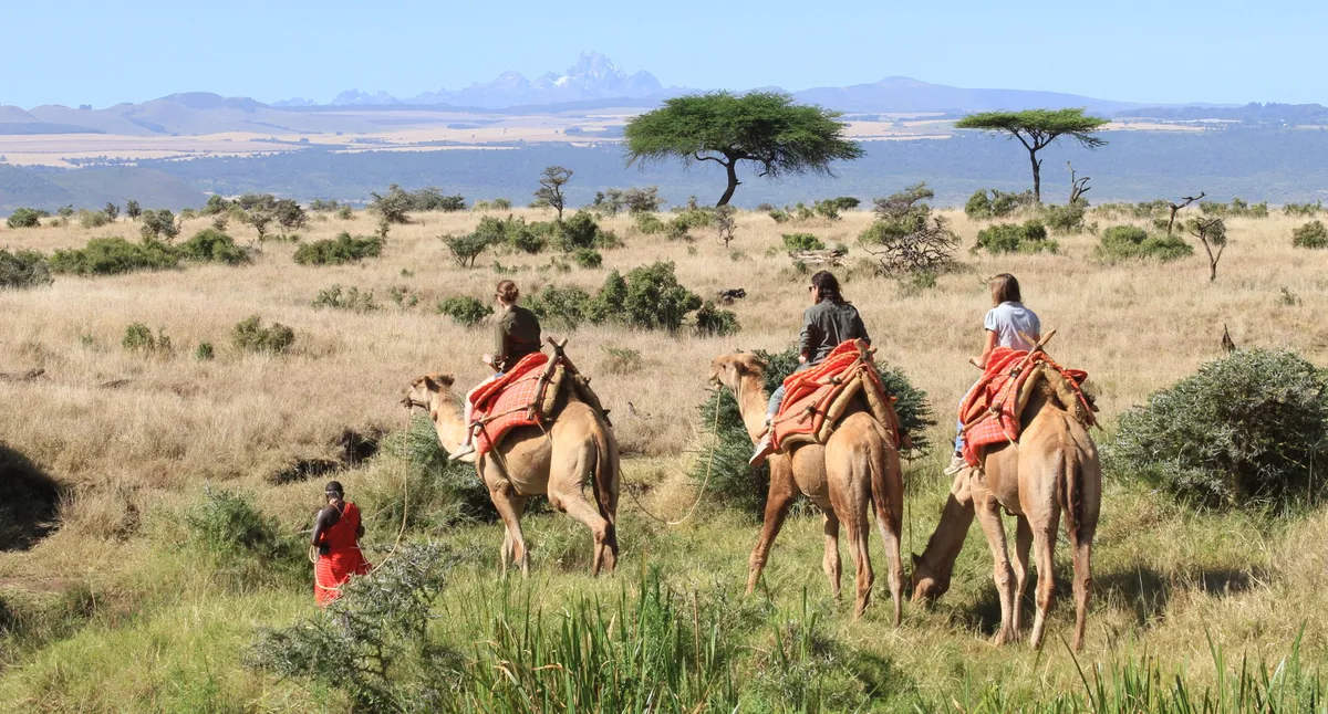 Lewa Wilderness — photo 88