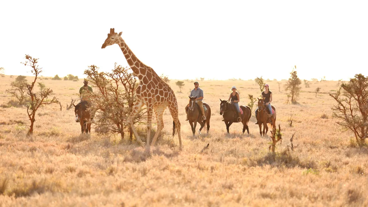 Lewa Wilderness — photo 89