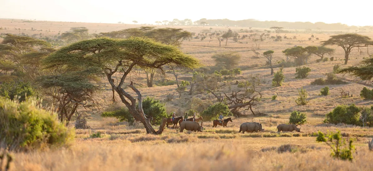 Lewa Wilderness — photo 90