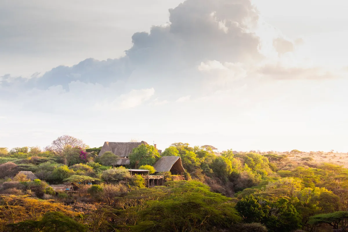 Lewa Wilderness — photo 91