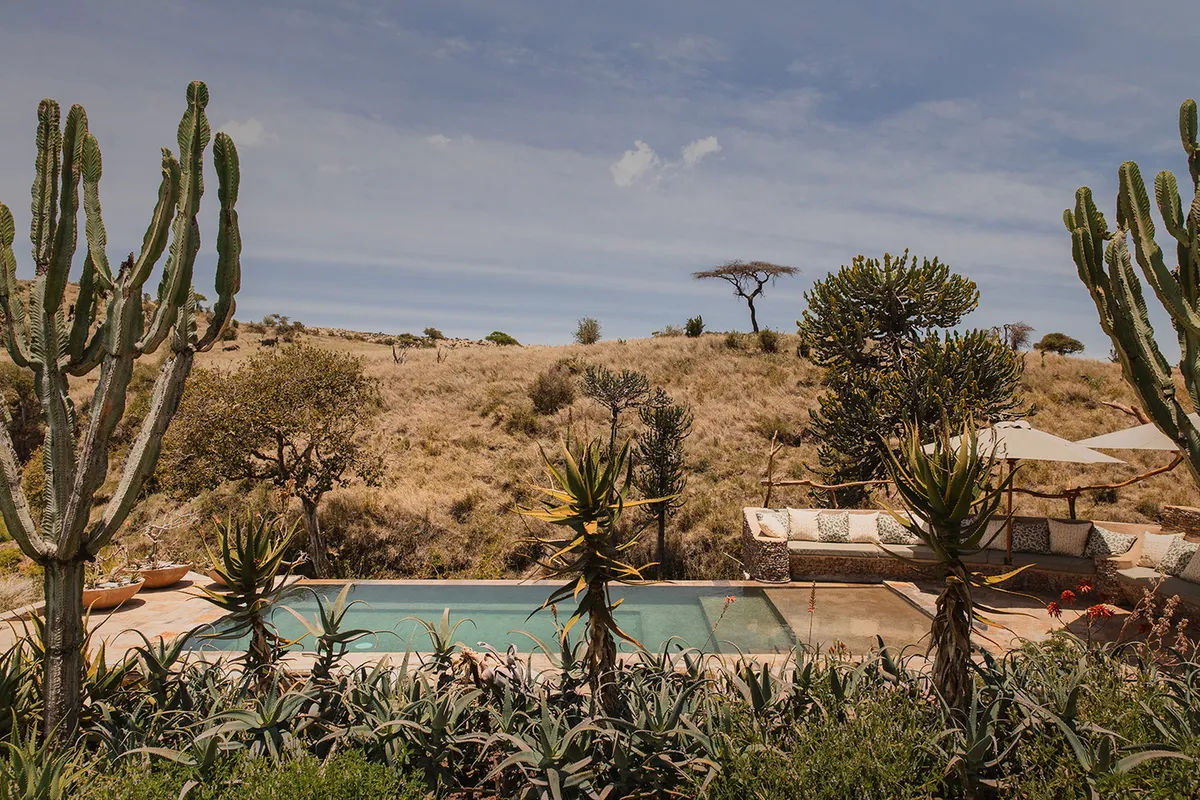 Lewa Wilderness — photo 95