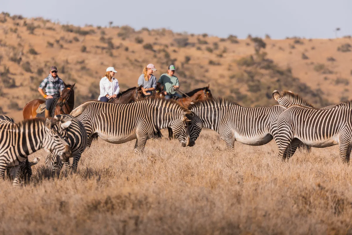Lewa Wilderness — photo 98