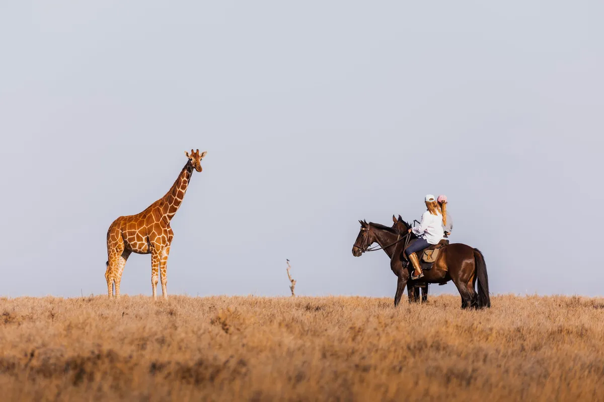 Lewa Wilderness — photo 99