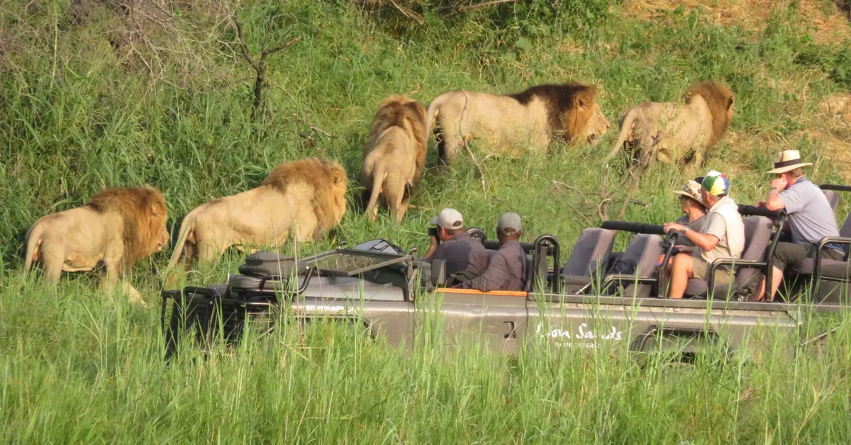 Lion Sands River Lodge — photo 68