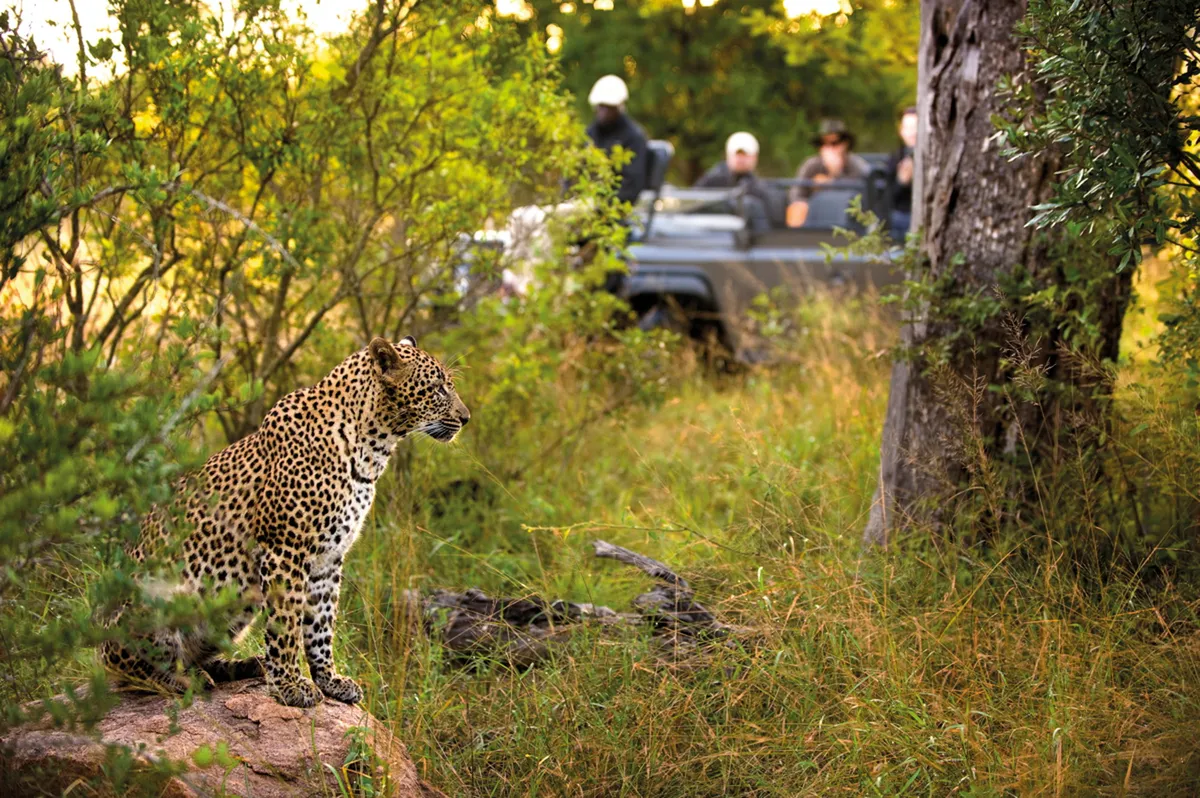 Lion Sands River Lodge — photo 70