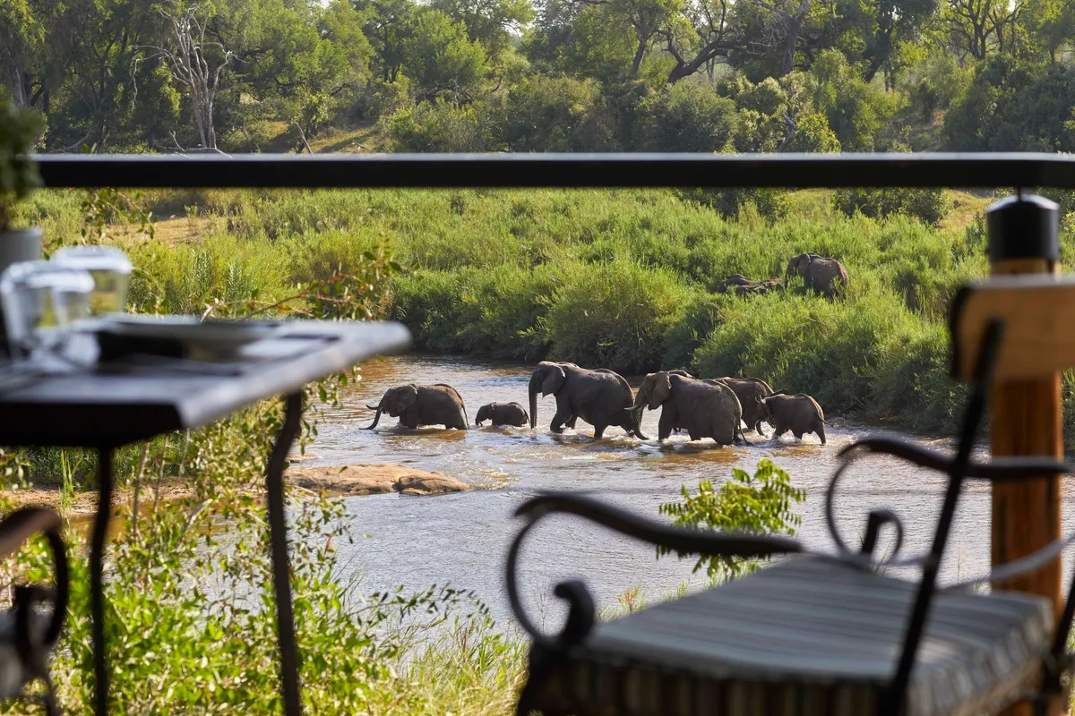 Lion Sands Tinga Lodge — photo 21