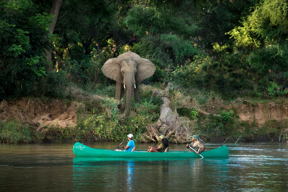 Lolebezi Lodge — photo 3