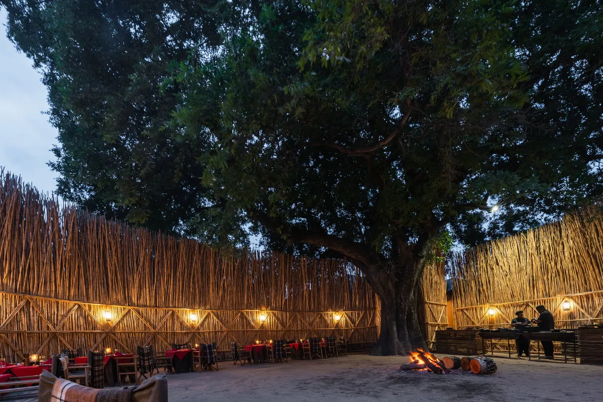 MalaMala Main Camp — photo 18