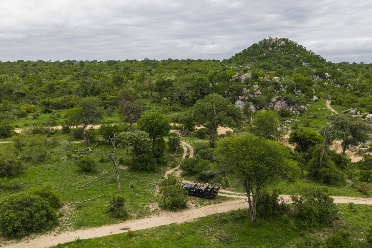 MalaMala Main Camp — photo 21