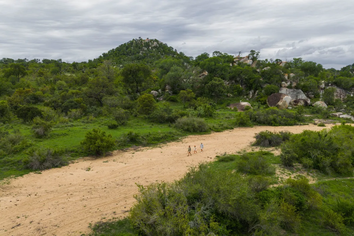 MalaMala Main Camp — photo 23