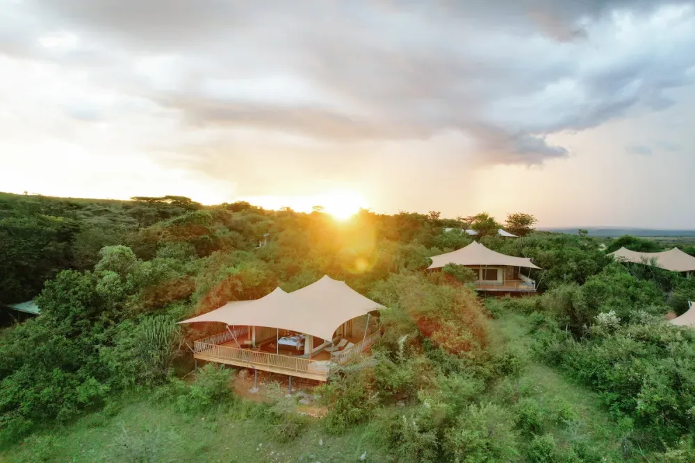 Mara Bushtops, Mara Bushtops Conservancy, Maasai Mara, Kenya