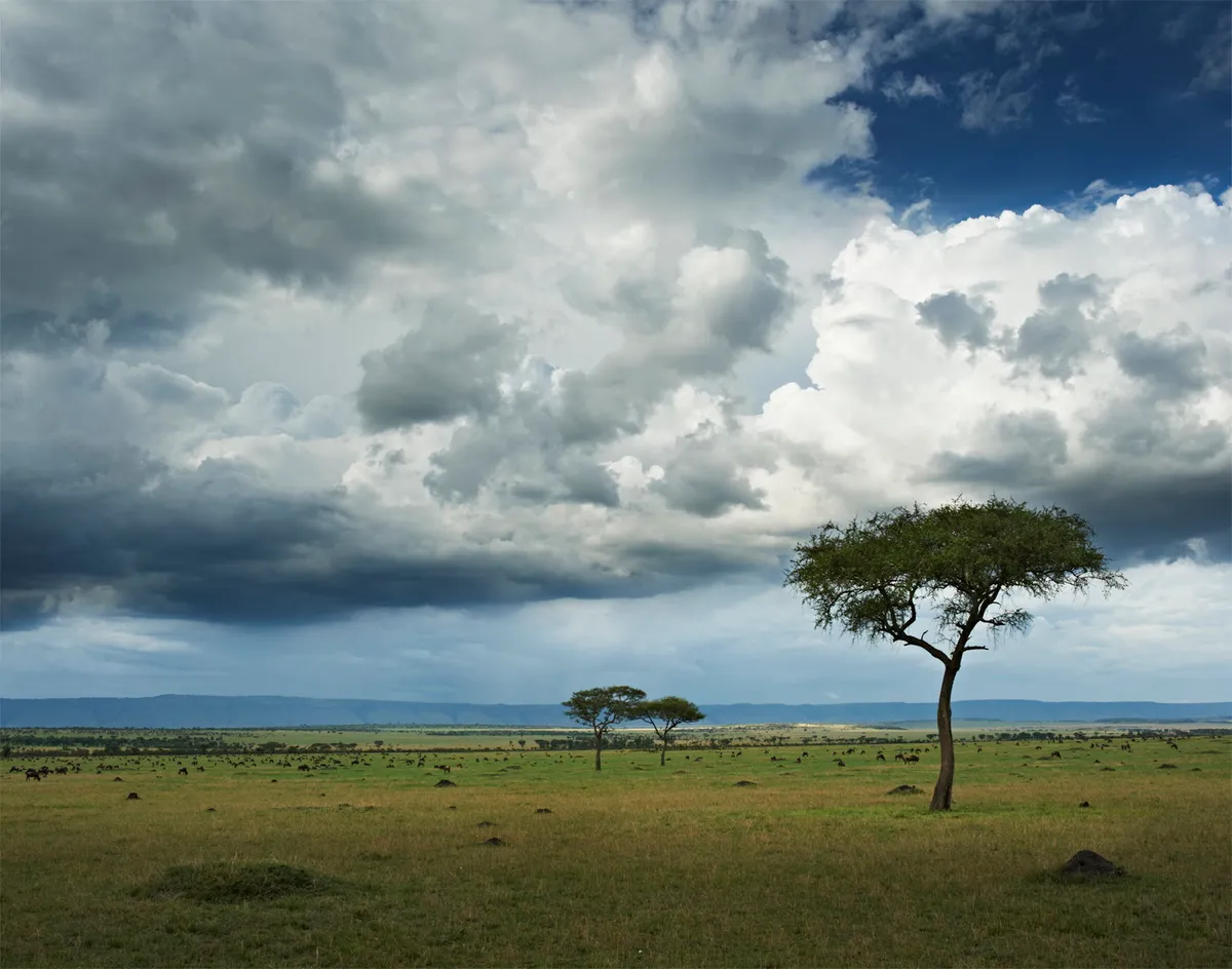 Mara River Tented Camp — photo 12