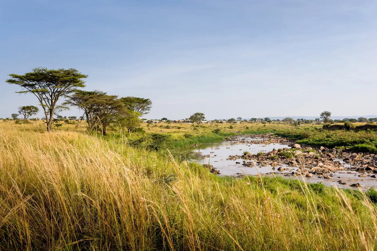 Mara River Tented Camp — photo 3