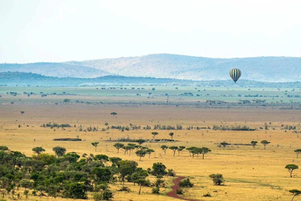 Mara River Tented Camp — photo 5