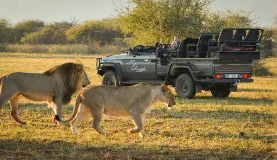 Marataba Safari Lodge, Marakele National Park, South Africa