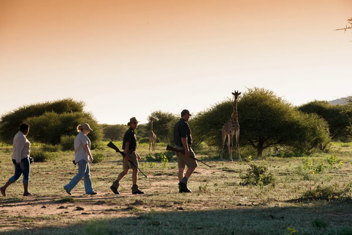 Marataba Safari Lodge — photo 4
