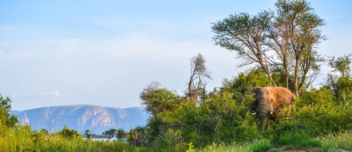Marataba Safari Lodge — photo 41