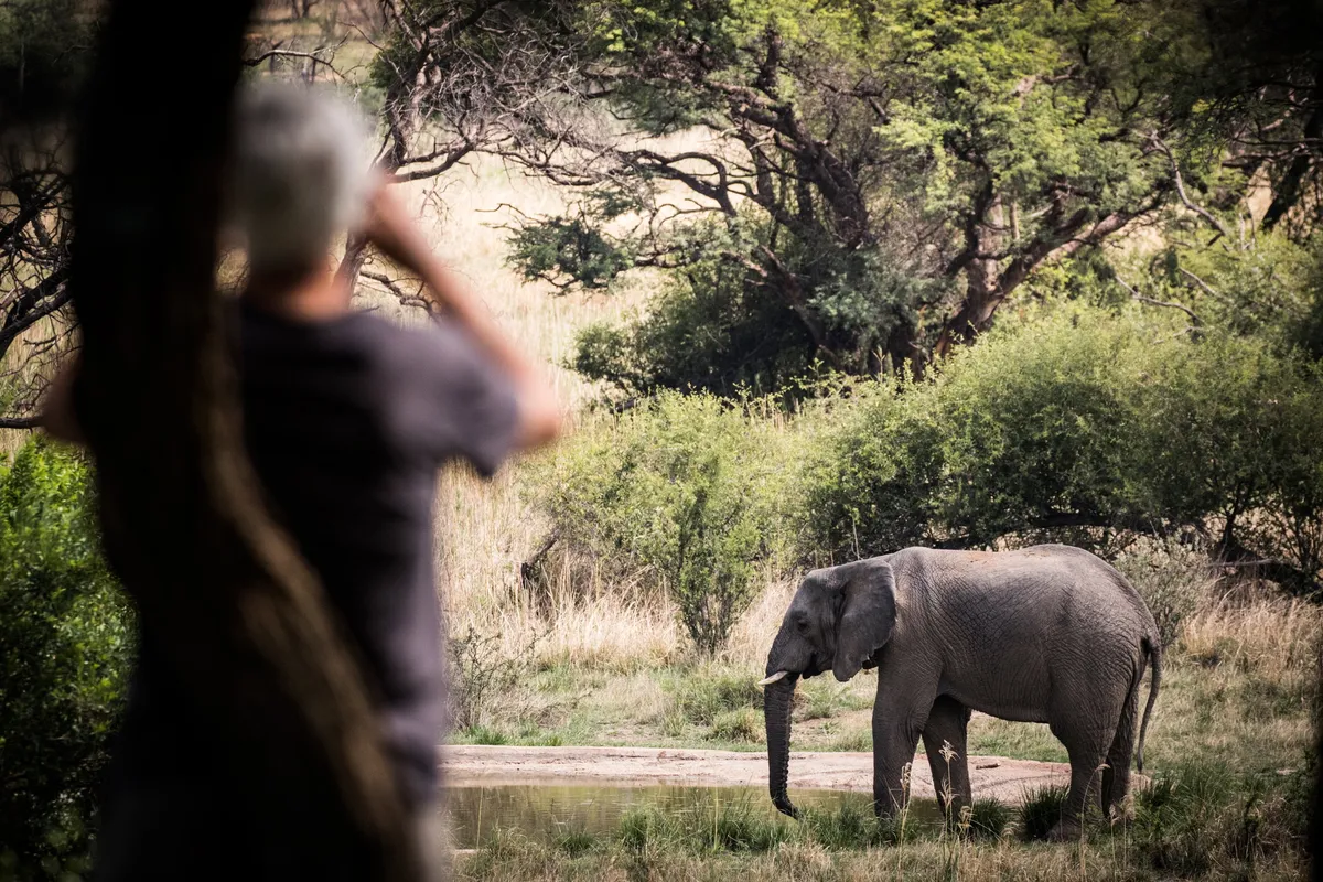 Marataba Safari Lodge — photo 43