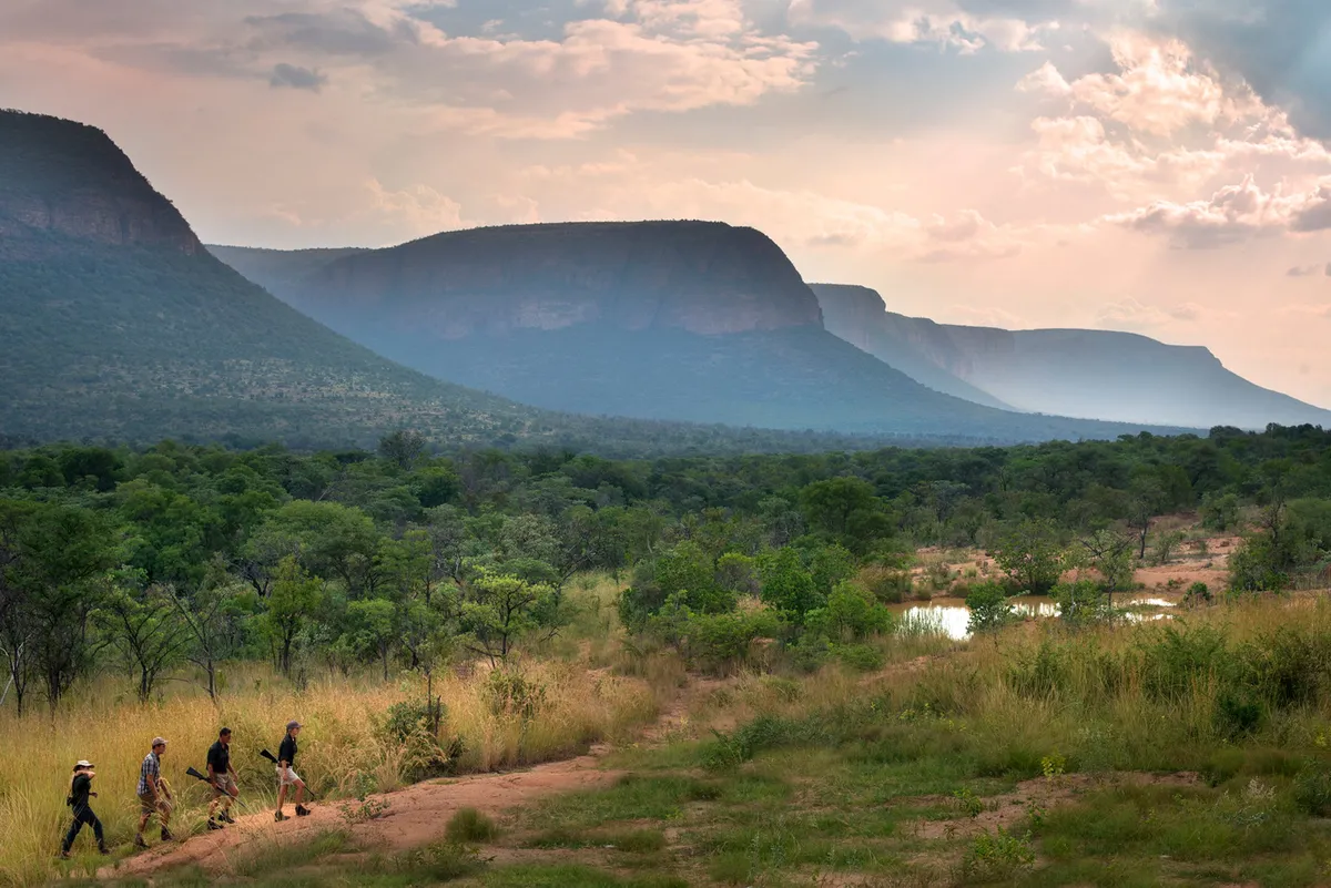 Marataba Mountain Lodge — Marakele National Park, South Africa