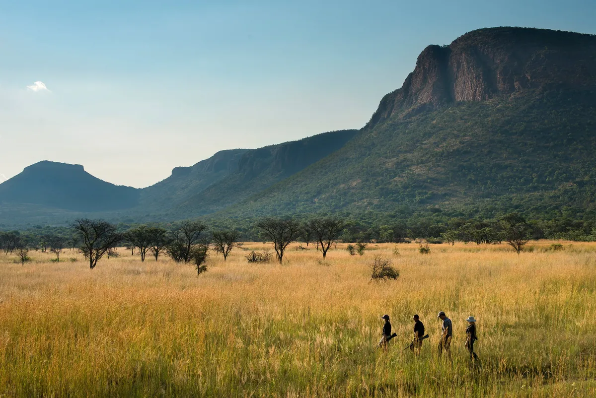 Marataba Mountain Lodge — photo 21