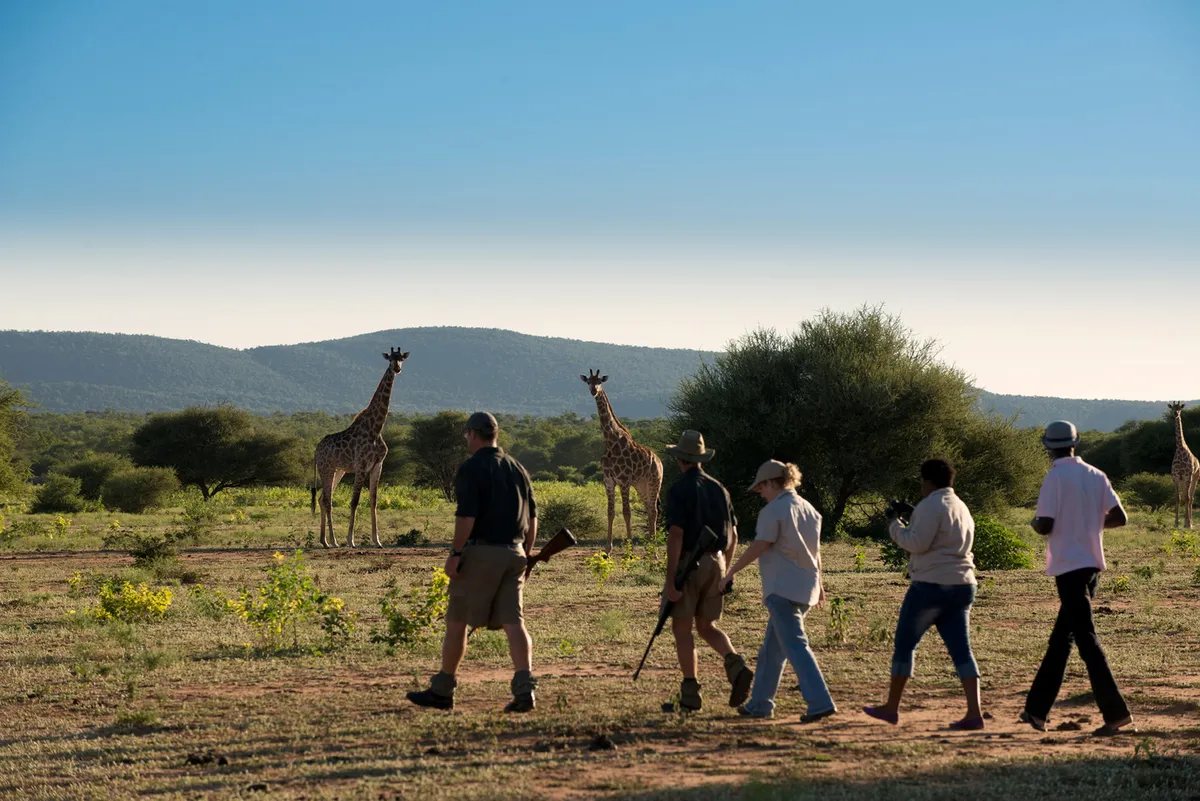 Marataba Mountain Lodge — photo 3