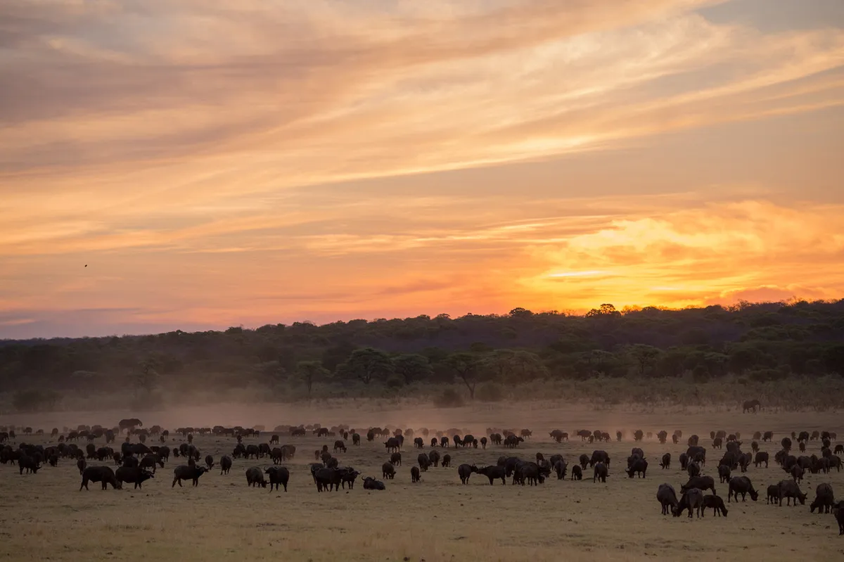 Matetsi Victoria Falls — photo 103
