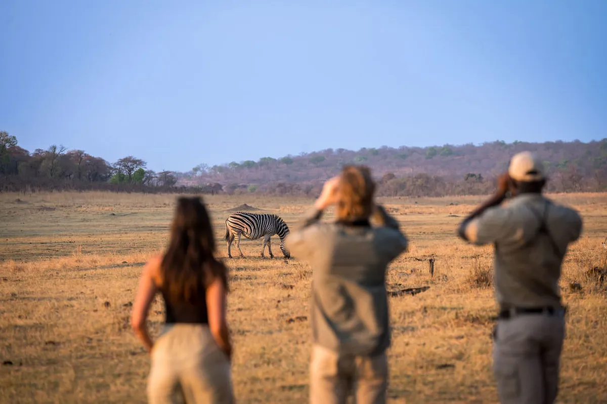 Matetsi Victoria Falls — photo 113