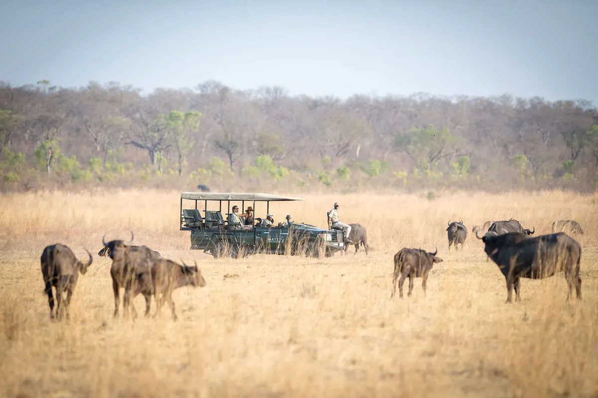 Matetsi Victoria Falls — photo 17