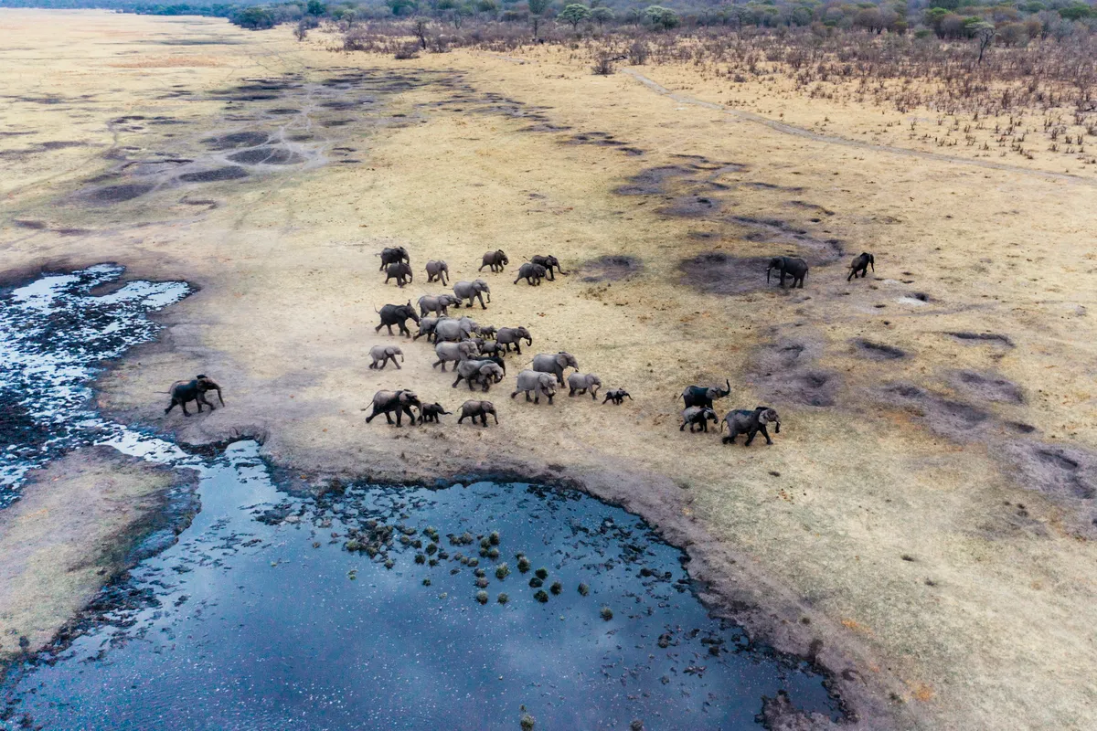 Matetsi Victoria Falls — photo 19