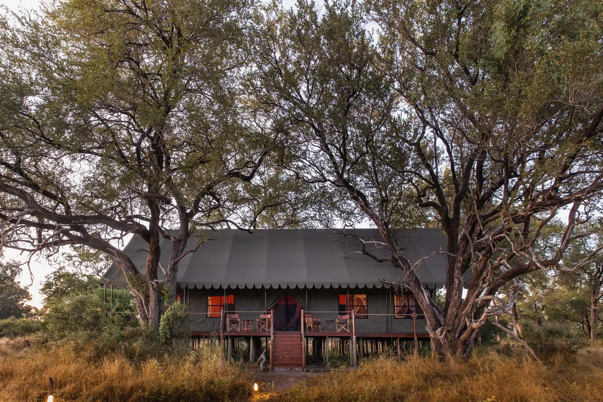 Mbamba — photo 2