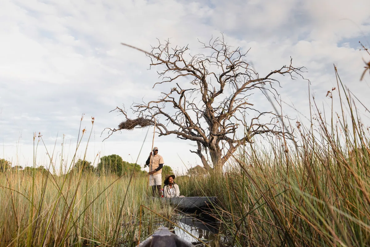 Mbamba — photo 21