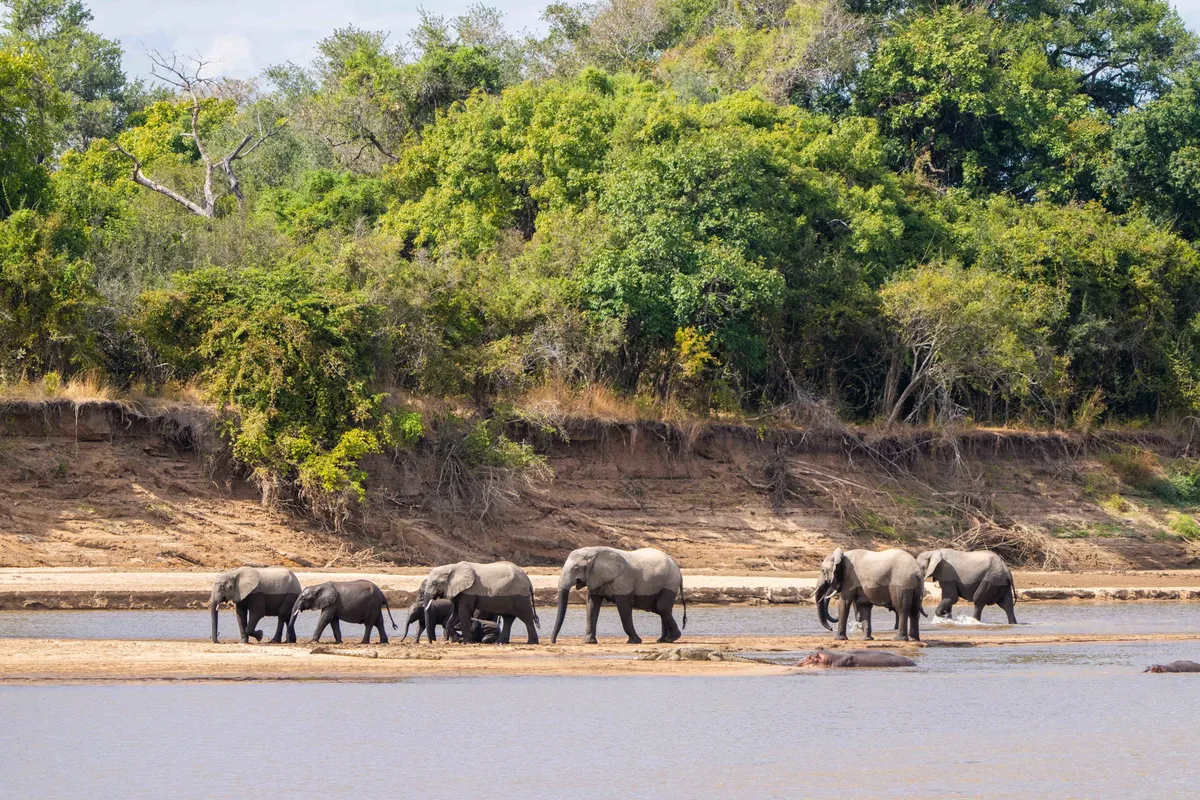 Mchenja Bushcamp — photo 21